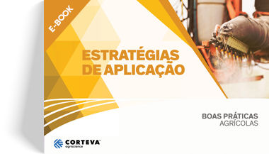 Estratégias de aplicação