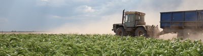 Europe-Tractor_in_Wheat_Field