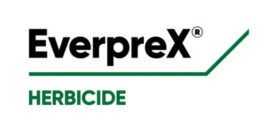 Everprex® Herbicide – Crop Protection