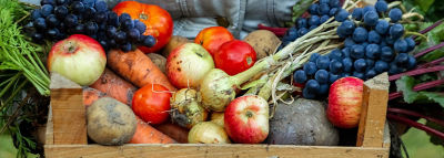 Farming_In_a_Changing_World_Veggies