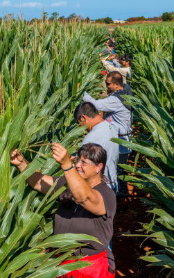 Featcard2_givingback_desktop