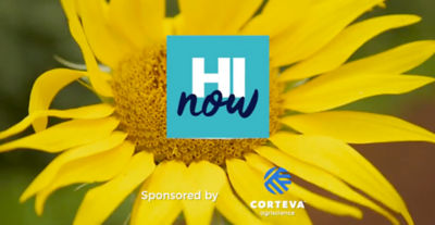 HI Now: Tour sunflower fields in Waialua