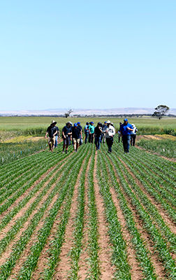 Halbury Virtual Field Tour