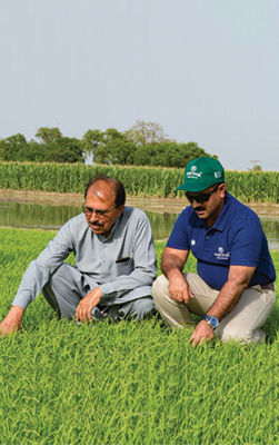 Planting the seeds for future generation