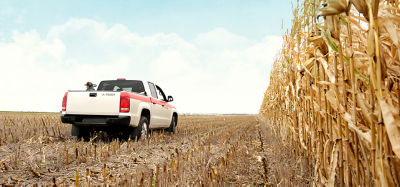 Agronomo Camioneta Maiz Paisaje Cielo