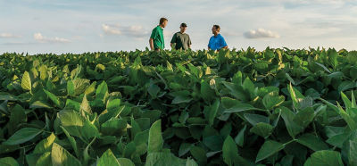 Soybean field - 100 Bu/acre - hero banner - desktop