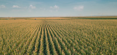 Paisaje cielo drone maiz