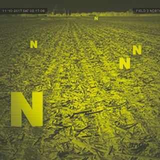 N at night through security camera