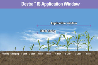 Destra Application Window