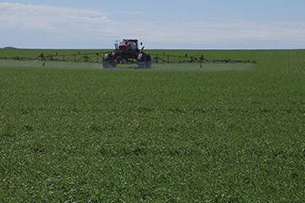 Back of sprayer in wheat field