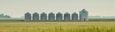 Barley field and bins