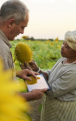 Brochure 2020 Desktop2