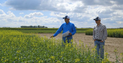 From Canola Breeding to Seeding - Part 4 - The Production Research Group