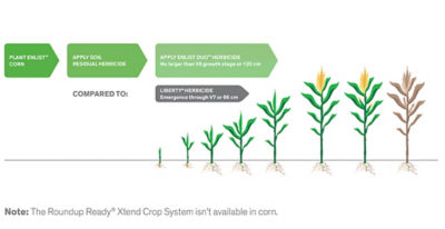 Corn growth with Enlist Duo graphic