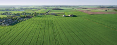 Физиологичен ефект