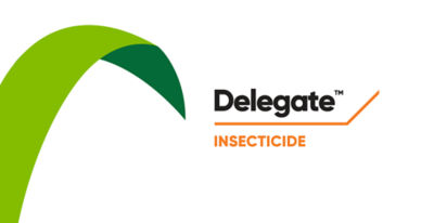 Delegate - timing is everything