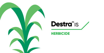 Destra IS - keeps weeds low and yields high
