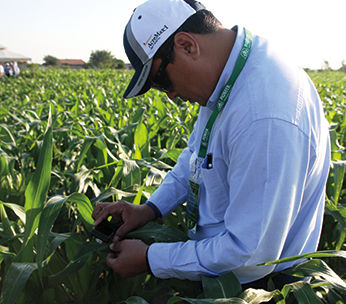 Entrenamiento Biotecnología