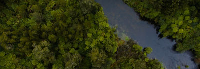 Aerial shot of river