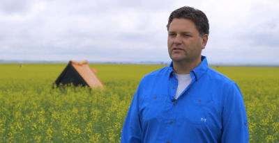 From Canola Breeding to Seeding - Part 3 - Hybrid Seed Production