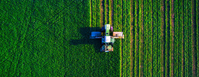 Imagem de Tela Iniciale