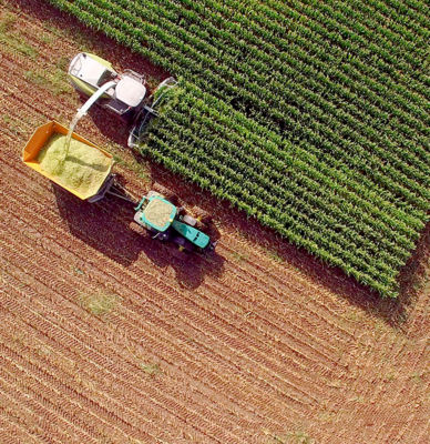 Plantação com trator