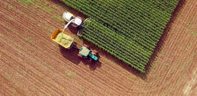 Plantación con tractor