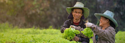 Two farmers holding lettuce