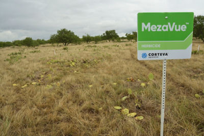Image of MezaVue field sign