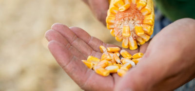 More Than Home Desktop