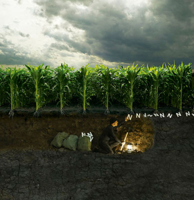 Hombre bajo tierra sembrando