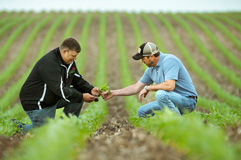 Our Purpose Cards Image