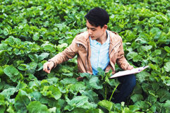 Our Purpose Cards Image