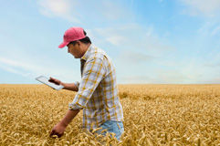 Our Purpose Cards Image