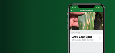 Pioneer Seed Catalog 2025 Download Daile Dulcine