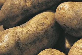 Potatoes
