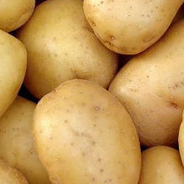 Potato