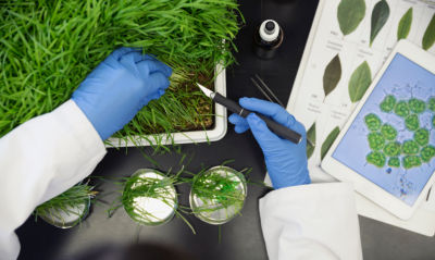 Science in action