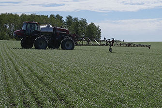 Side of sprayer in wheat field