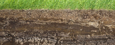 Почва плодородный слой суши. Растения живущие в почве. Верхний рыхлый плодородный слой земли. Почва плодородный слой суши. Пласт почвы.