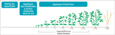 L’application de l’herbicide Enlist Duo