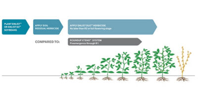 Soybean growth with Enlist Duo graphic