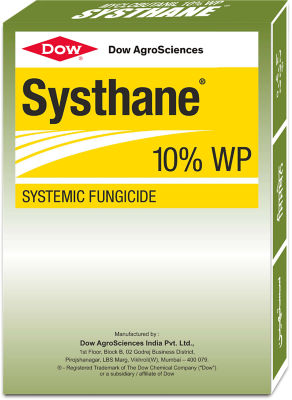 Systhane