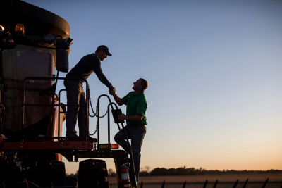 Soybean Harvest Illinois