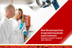 Lumisena Training Deck