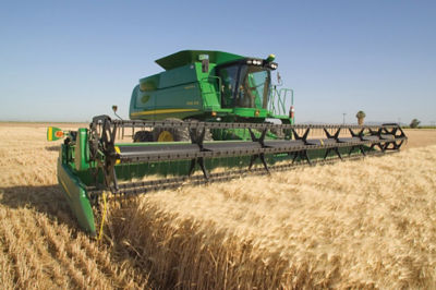 Image of wheat being harvested.