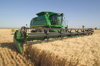 Image of wheat being harvested.
