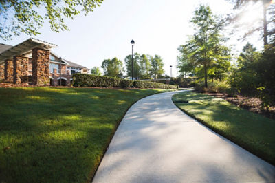Image of commercial outdoor lawn space with sidewalk