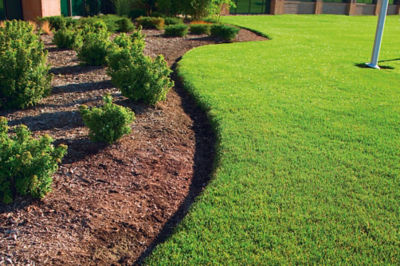 Commercial outdoor space