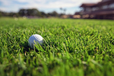 Image of golf ball in golf course rough
